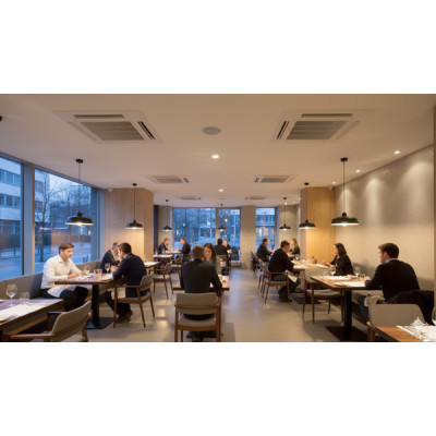 ﻿Climate Control in Restaurants and Cafés